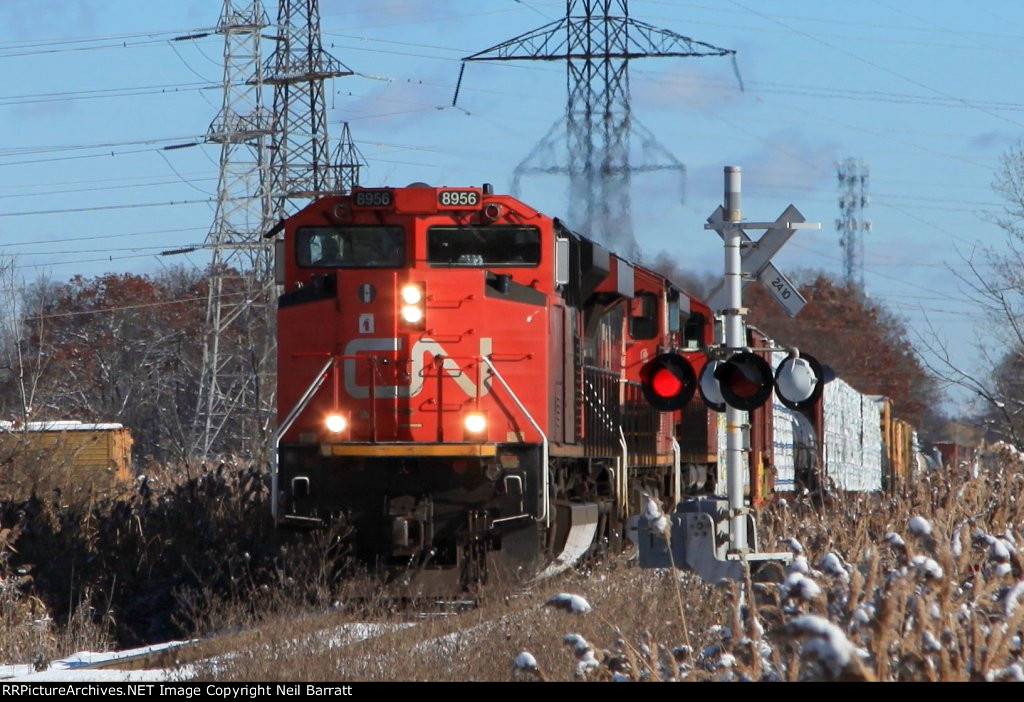 CN 8956